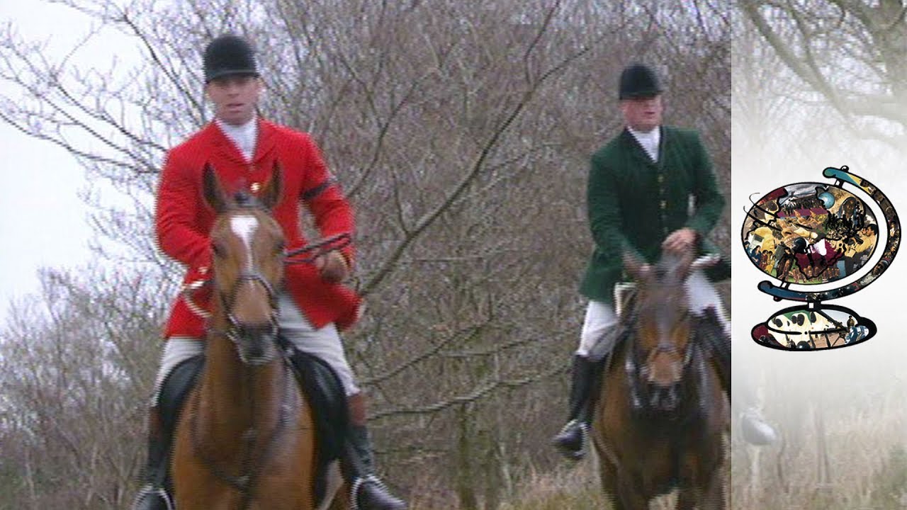Should Fox Hunting be Banned? (2002)