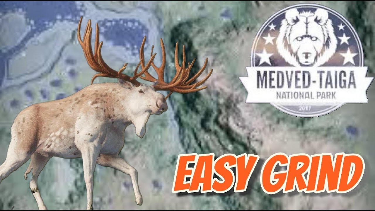 I Ditched Spreadsheets for This Great One Moose Strategy