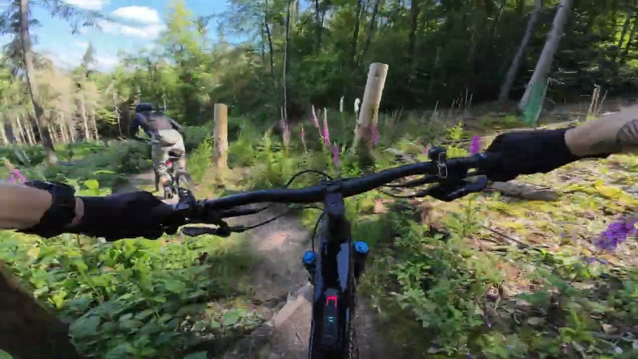 Kammtrails Alzenau | Conway Ryvon | Juni 2024
