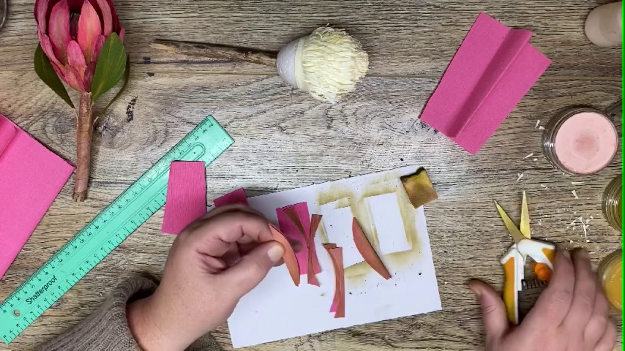Mini Paper Proteas