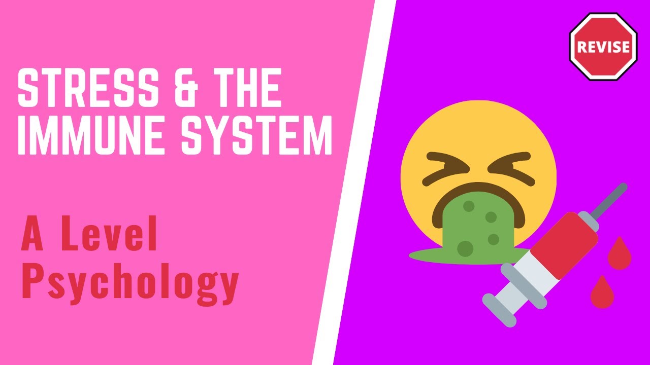 A Level Psychology - Stress & The Immune System