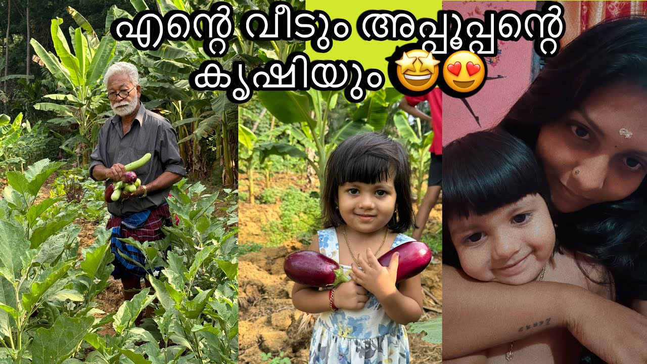 എന്റെ വീടും അപ്പൂപ്പന്റെ കൃഷിയും 🤩#malayalamhomily #familyvlog #explore