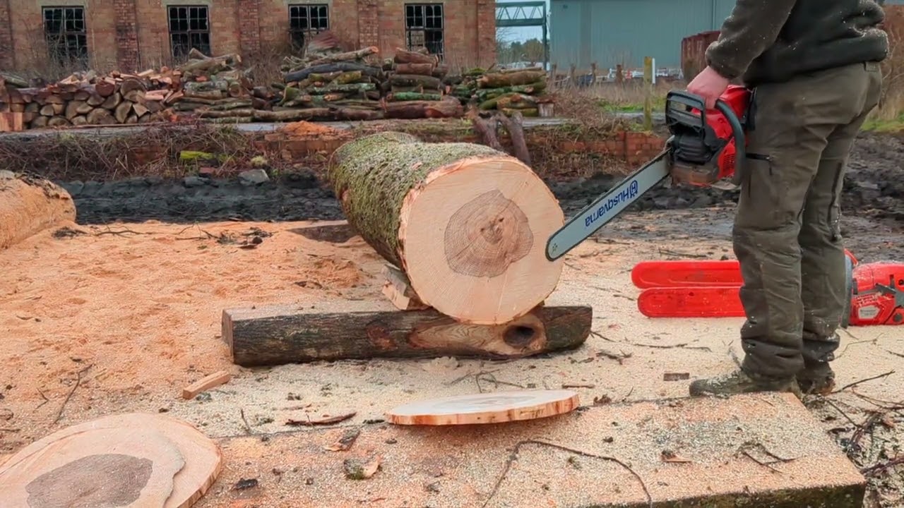 HUSQVARNA & STIHL compilation: 572xp Vs 565 Vs STIHL 500i!