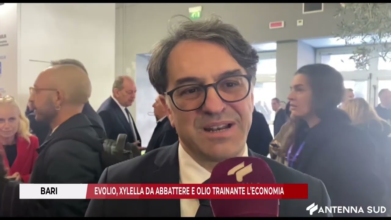 29 GENNAIO 2026 - BARI   EVOLIO, XYLELLA DA ABBATTERE E OLIO TRAINANTE L’ECONOMIA