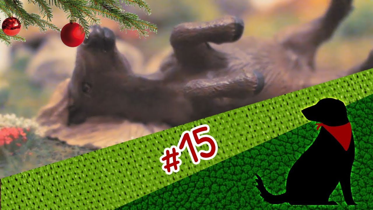 Türchen 15 - TUTORIAL Diorama