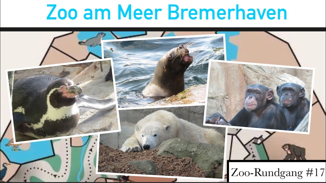 Zoo am Meer in Bremerhaven 2022 | Zoo-Rundgang #17