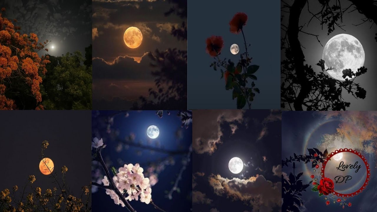 Moon dp|Moon dp images|Moon wallpaper|Beautifull moon dp|Moon dp pictures for WhatsApp#moon#Moondp