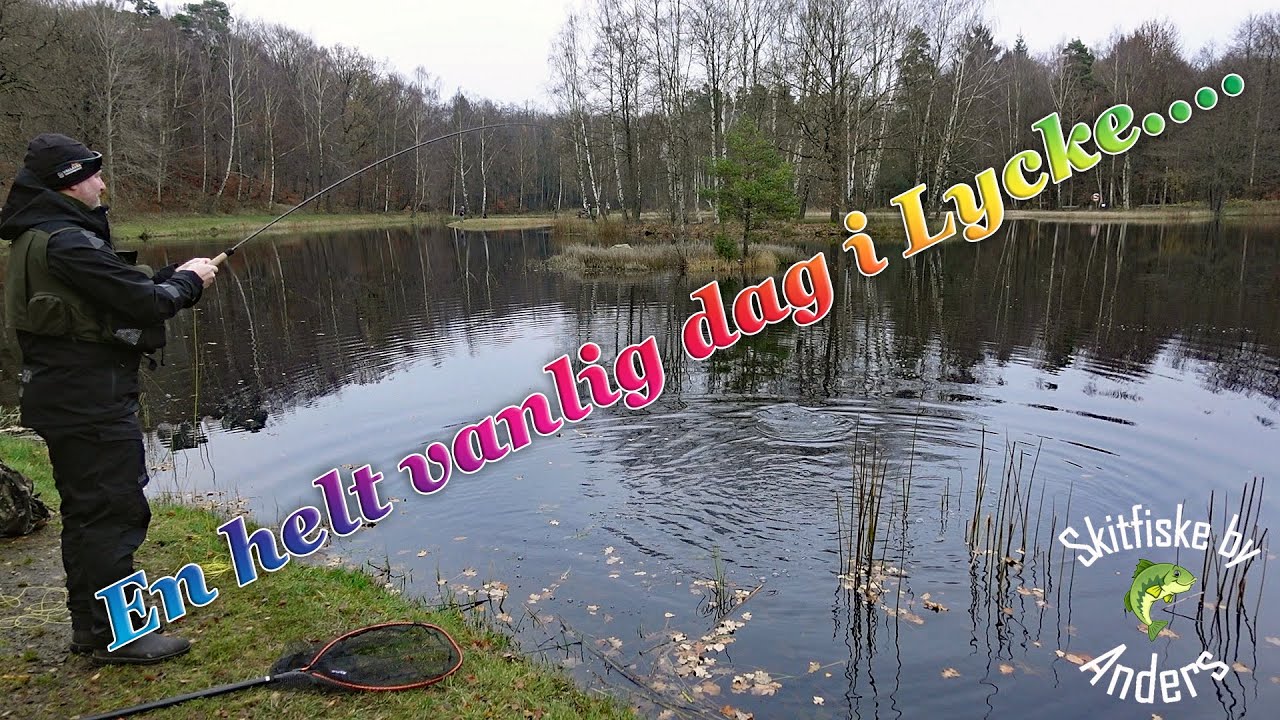 🎣 En helt vanlig dag i Lycke på jakt efter regnbågen....