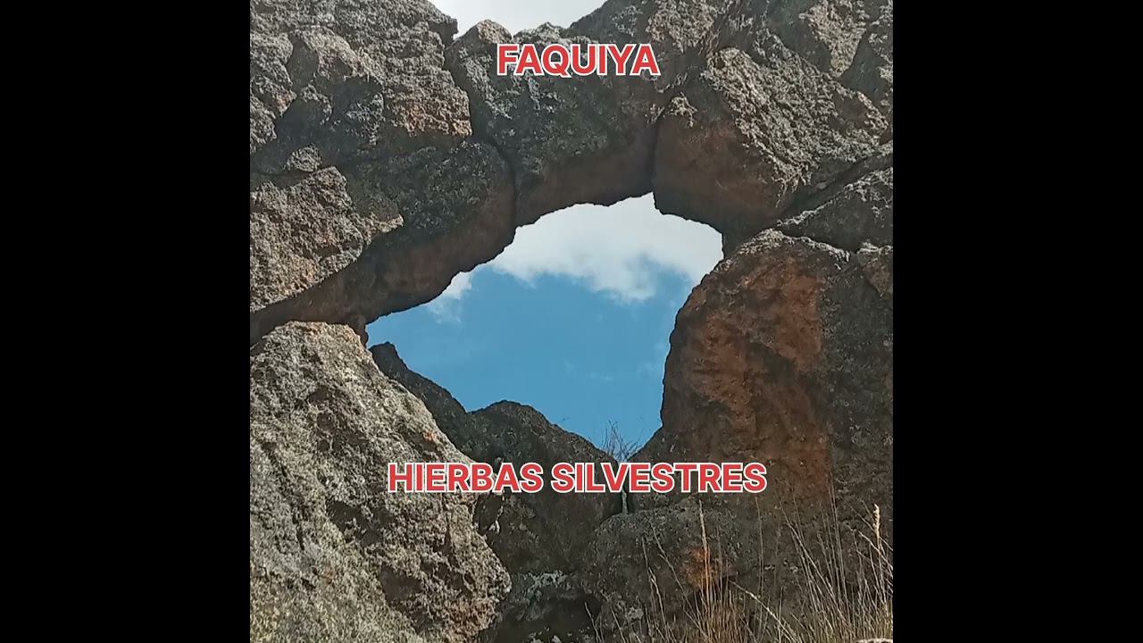 TURISMO HUASICANCHA FAQUIYA