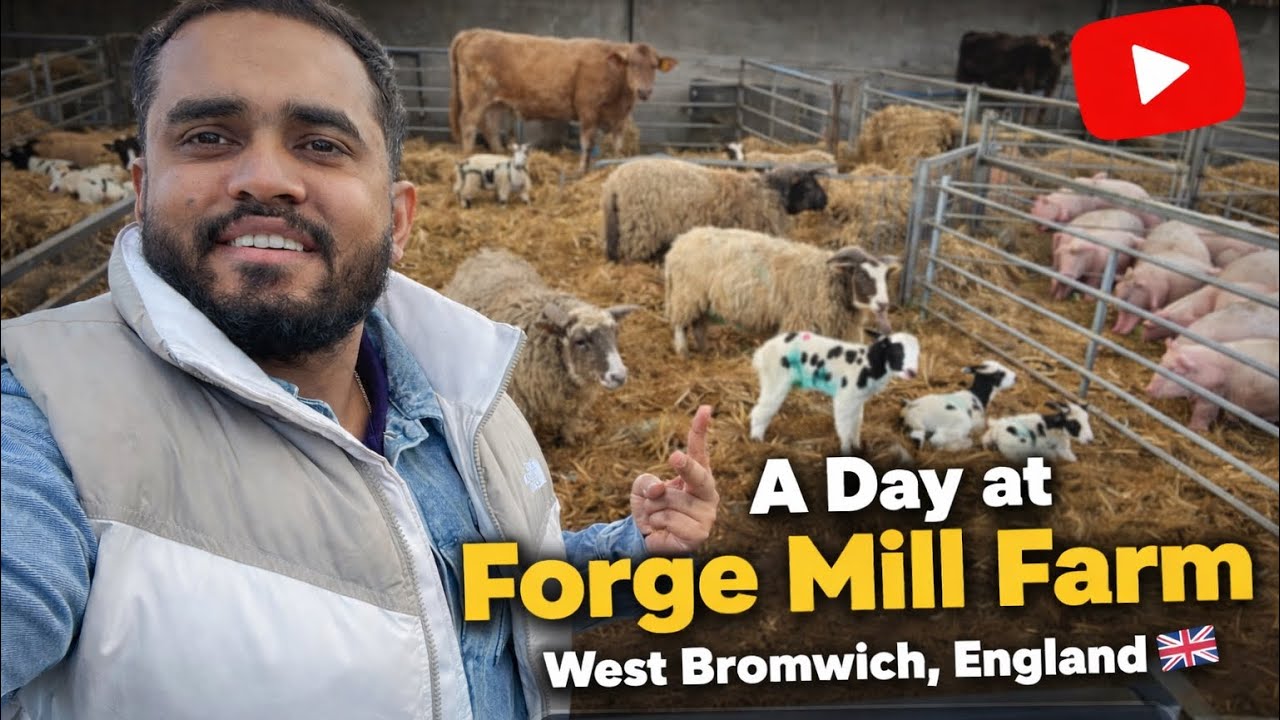 A Day at Forge Mill Farm || England 🏴󠁧󠁢󠁥󠁮󠁧󠁿 ||