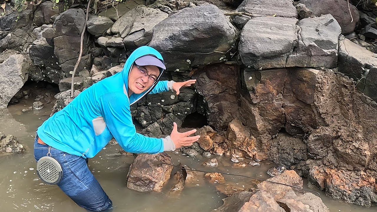 这种蟹王洞老赶海人不敢碰，渔夫用冲击钻挖了大半天，抓出的螃蟹意外的大