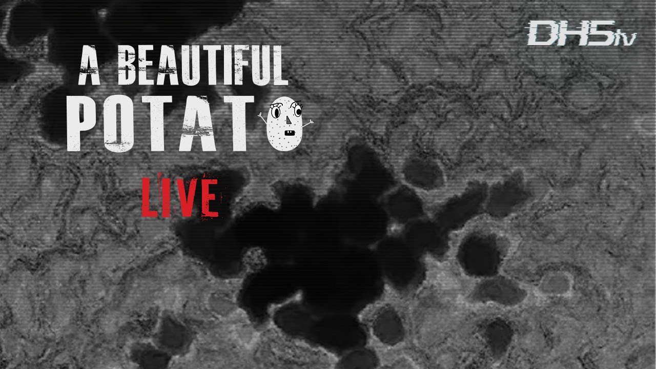 🥔LIVE: Day 19 of Retirement | Project Zomboid Hotfix 42.13.2 Dropped! Join A Beautiful Potato