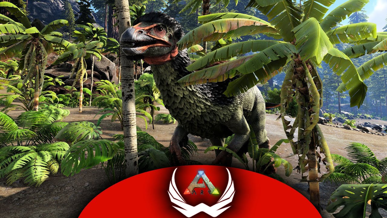 Tickle Chicken & How Many 150's! | Journey Through the Ark | EP22