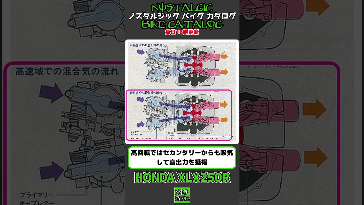 1分間解説 HONDA XLX250R