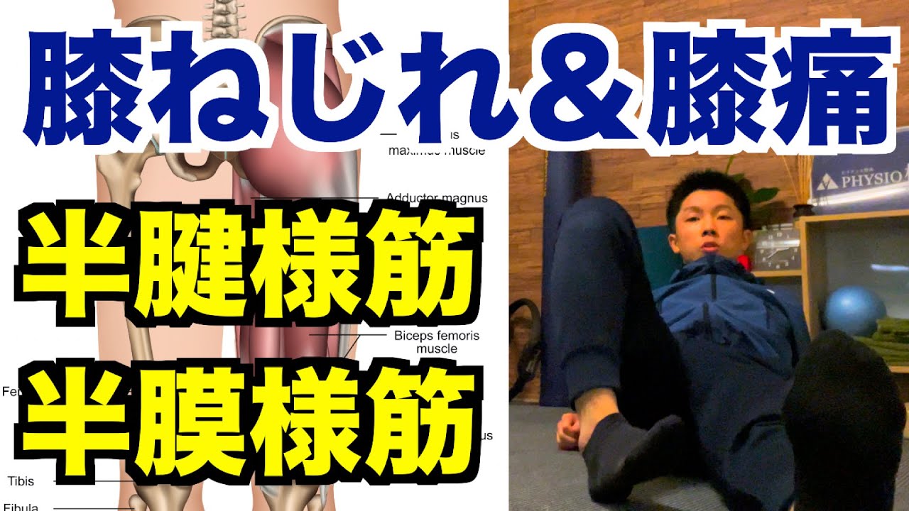 【最新版】「膝ねじれ・変形＆膝痛」を改善するための内側ハムストリングスのエクササイズ！【愛媛県松山市　ピラティス・整体】