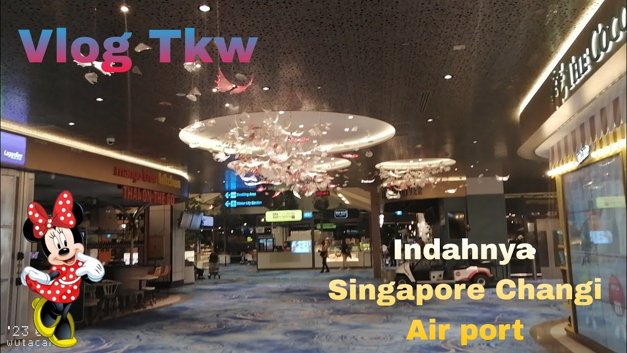 Vlog Tkw //Indahnya Singapore Changi Airport