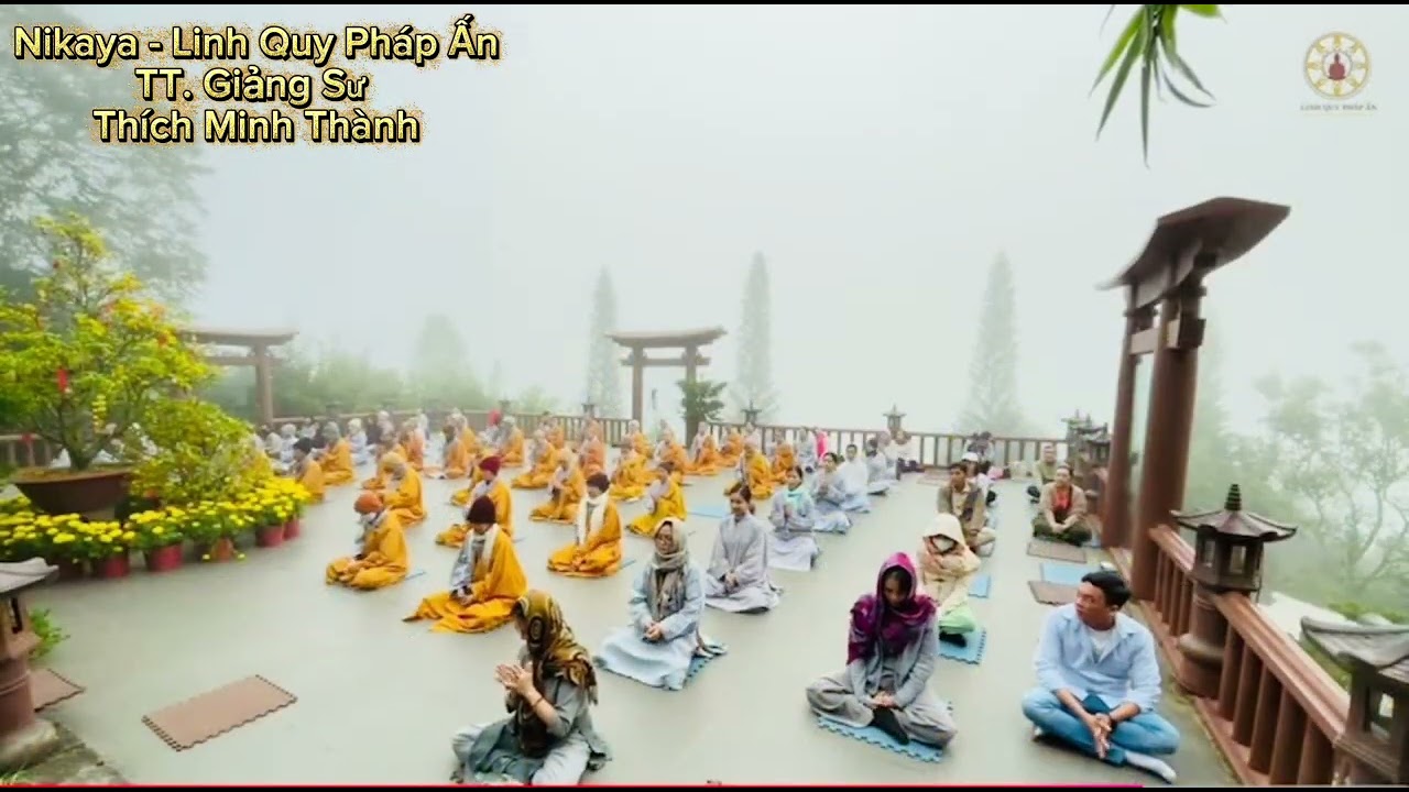  Tinh Hoa Nikaya - Khổ Đủ Rồi ~ Buông Xả hết Khổ Thôi !!