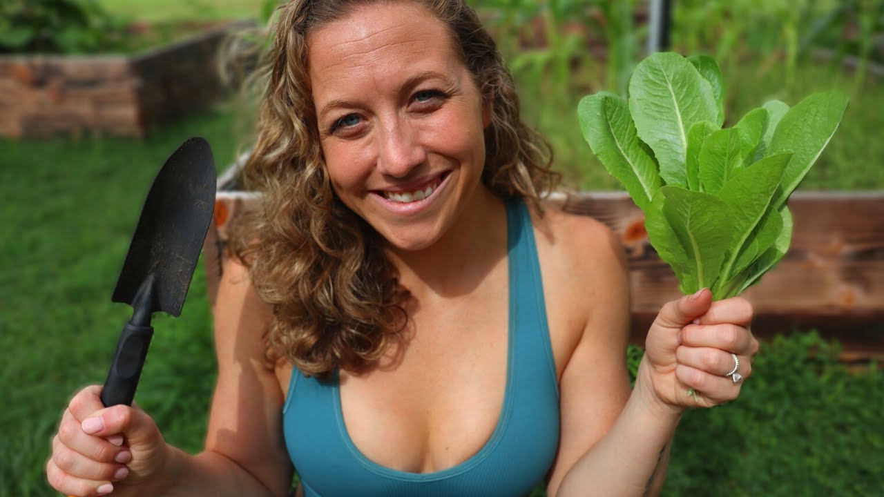 All the Plants You Can Grow in August - fall hardy vegetables for zone 7