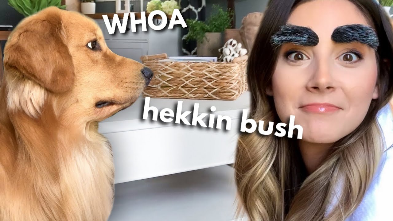 Dog Reacts to My Quarantine Eyebrows