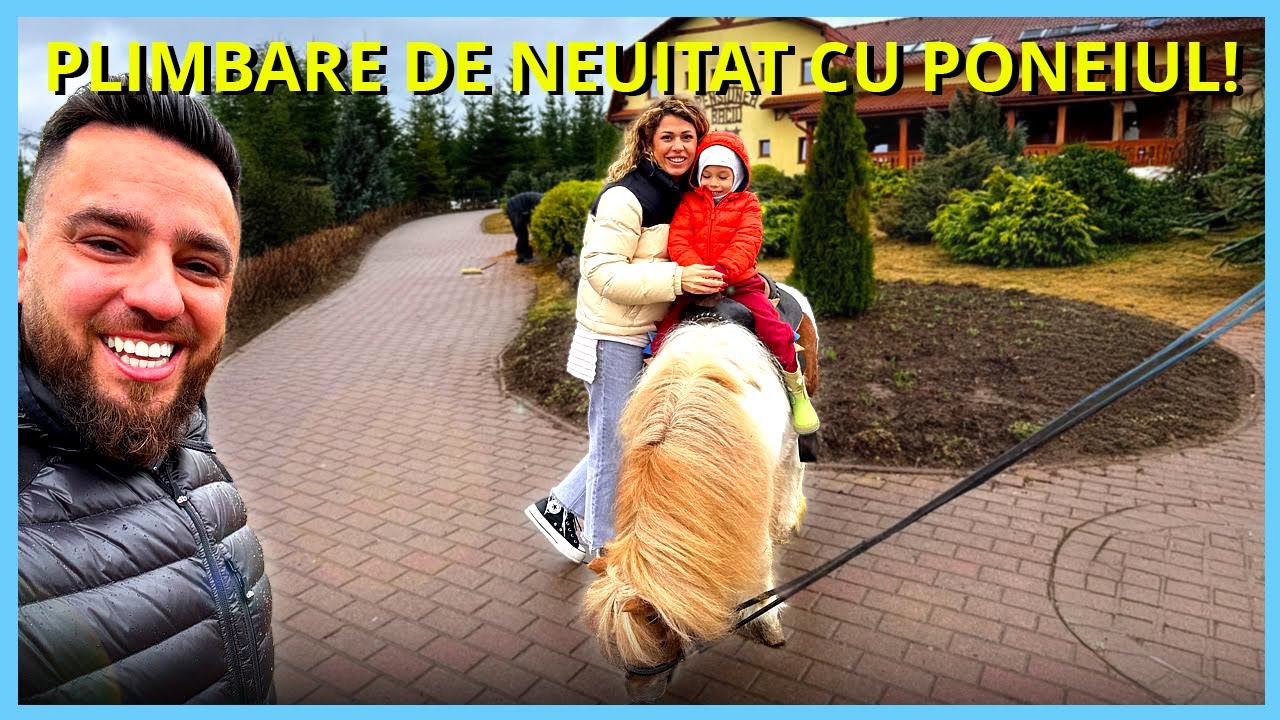 5 MOTIVE pentru care TOPLIȚA MERITĂ VIZITATĂ! Cascada, Pista de Bob, Caii de la Pensiunea Baciu etc.