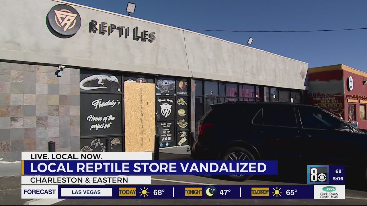 Las Vegas reptile store vandalized multiple times