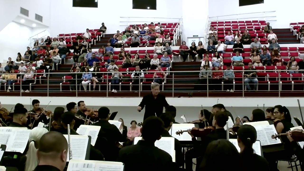 P. I. Tchaikovsky: Symphony n.5 in Mi minore op. 64 - 3rd movement -