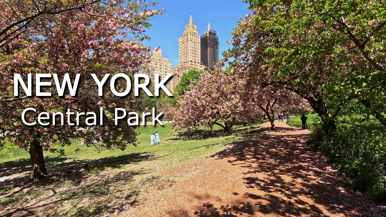 New York - Walking tour Central Park - USA /  4К