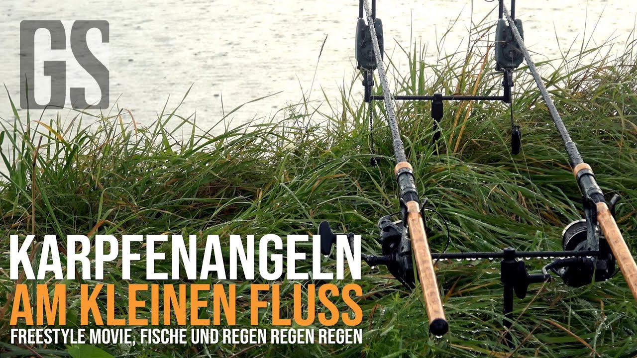Karpfenangeln am kleinen Fluss mit Erfolg - Freestyle Movie, Fische und noch mehr Regen l 2021