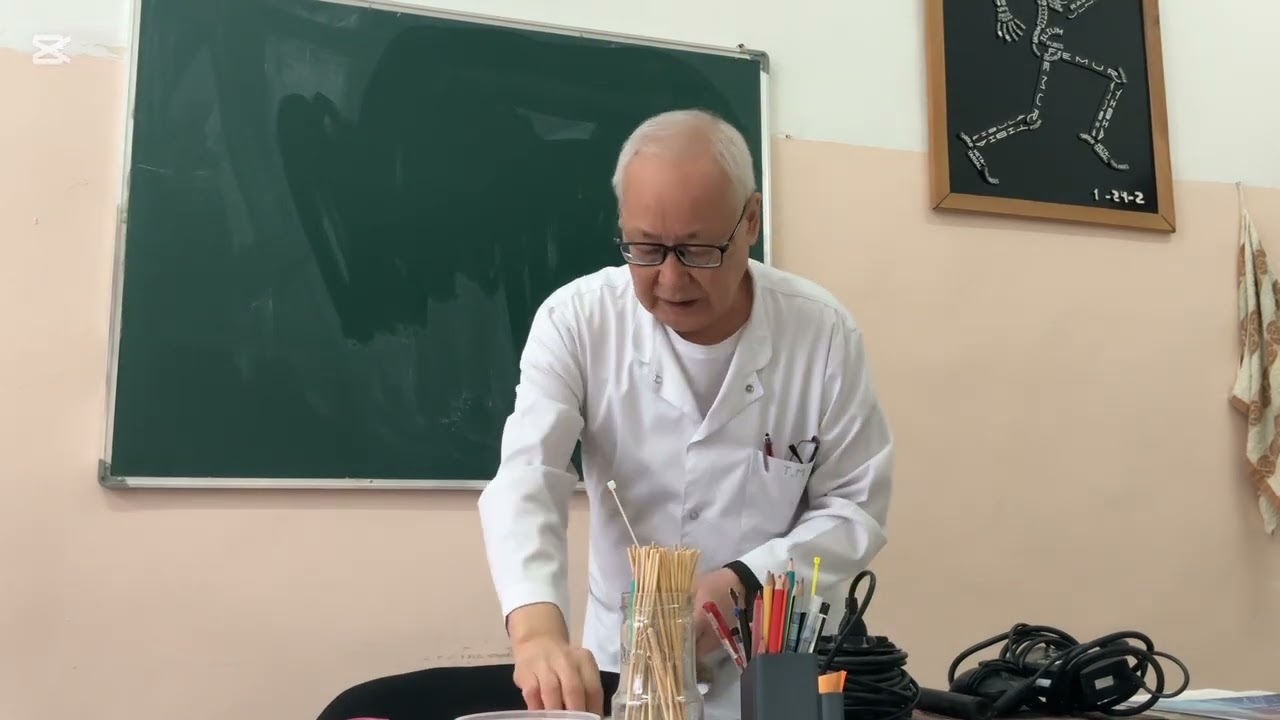 Вегетативті (автономды) жүйке жүйесі