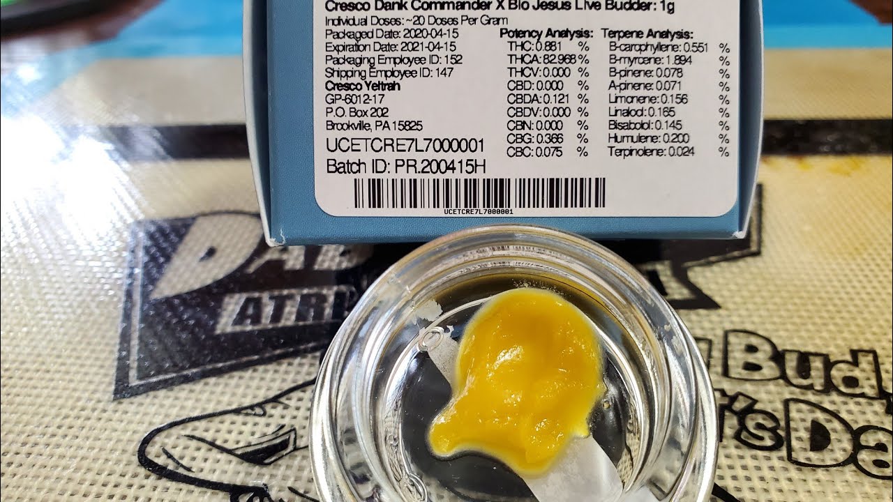 DANK COMMANDER &times;BIO JESUS LIVE BUDDER TASTE TEST
