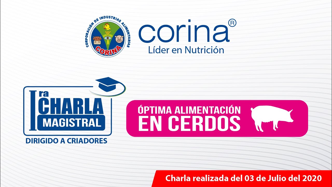 CERDOS 🐷:CHARLA MAGISTRAL - ALIMENTACI&Oacute;N EN CERDOS🐽- CORINA ALIMENTOS BALANCEADO