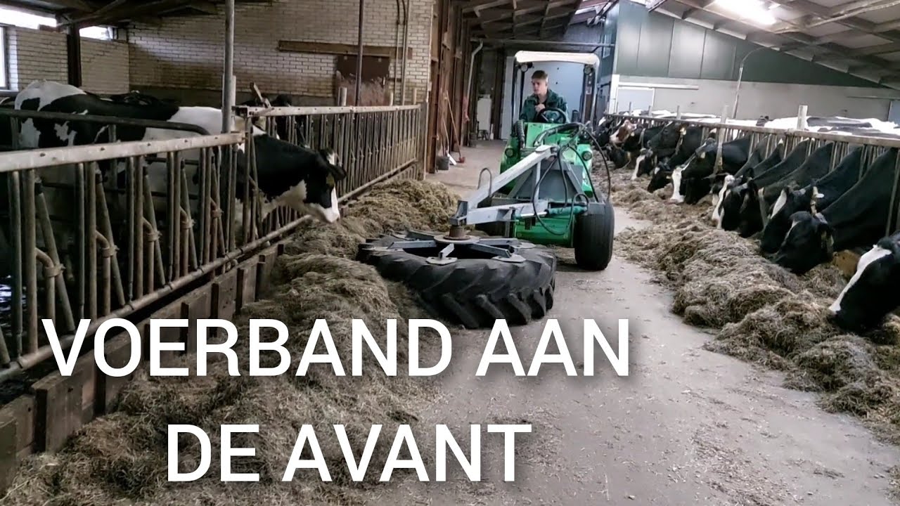 Nu met de AVANT MINISHOVEL het voer aanschuiven | Voerband aangepast | Boer Gerrit vlogt