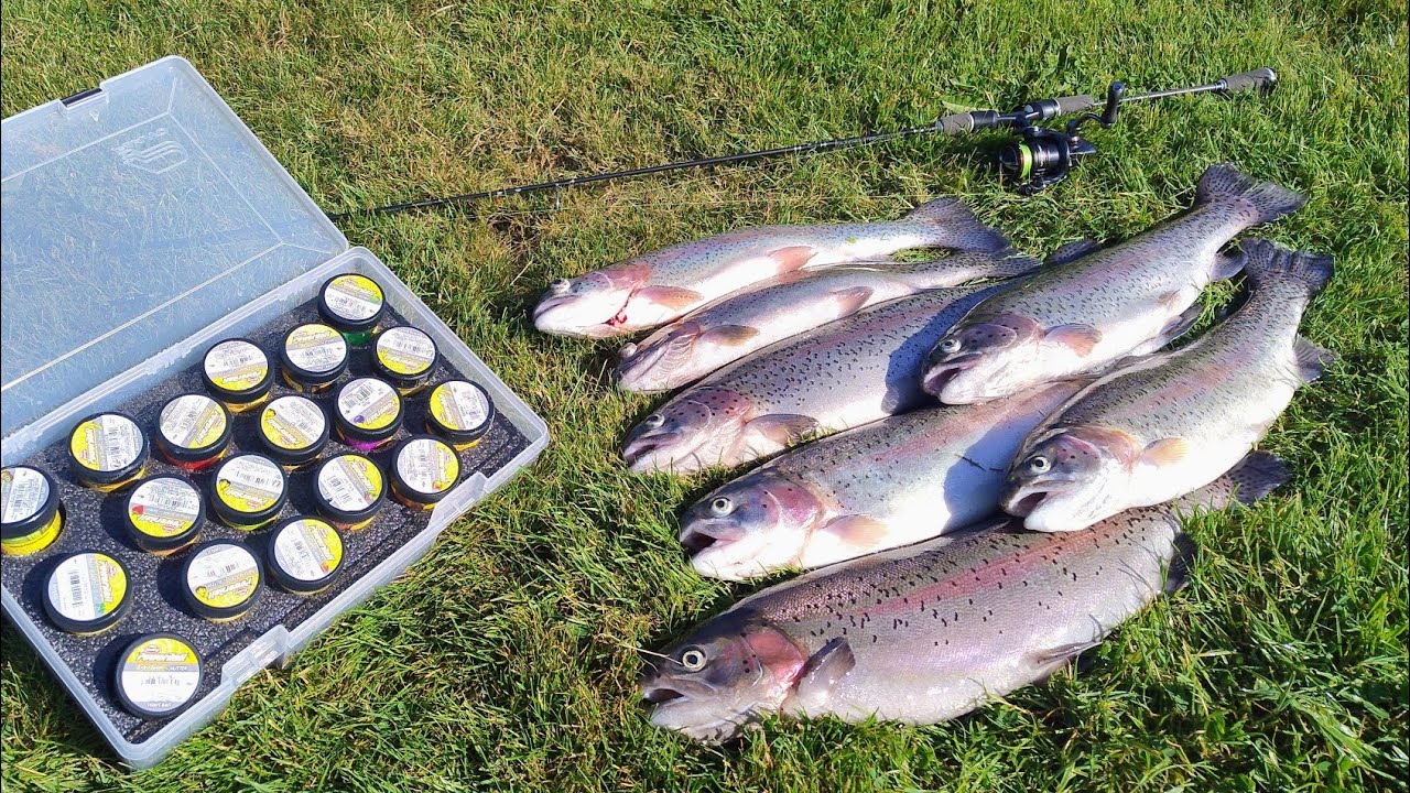 Resenbro - Gummi & Powerbait. 🎣🐟