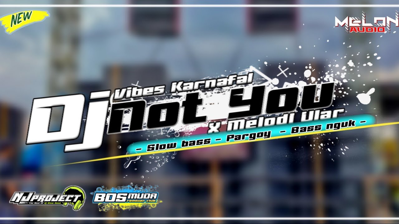 DJ NOT YOU X MELODI ULAR FULL BASS NGUK - MELON AUDIO - NJ PROJECT