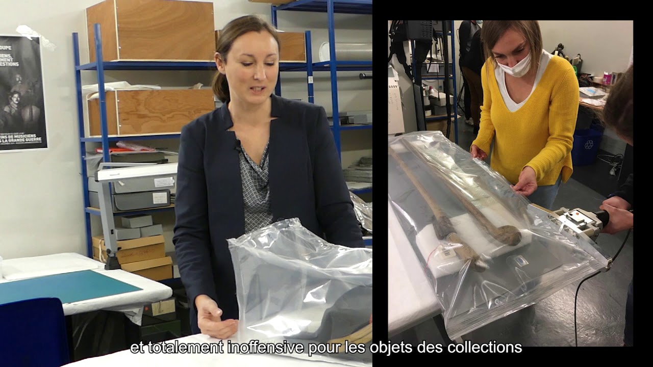 L'entomologie et nos collections