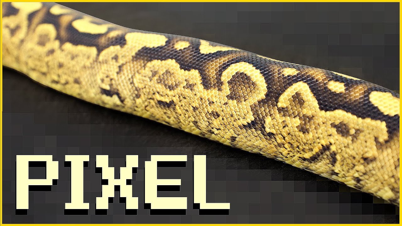 Знакомьтесь с геном Pixel! Не принимайте этот новый кодом за «Гранит» | JKR Morphs 101