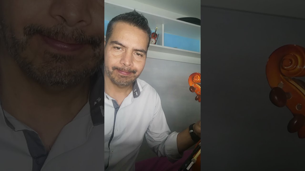 así fue, violin Garibaldi