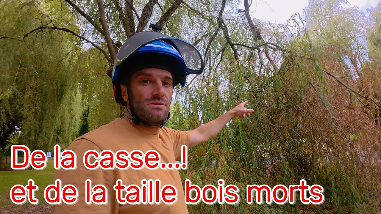 De la casse et des tailles de bois morts pour sécurisé. #jardin #agriculture