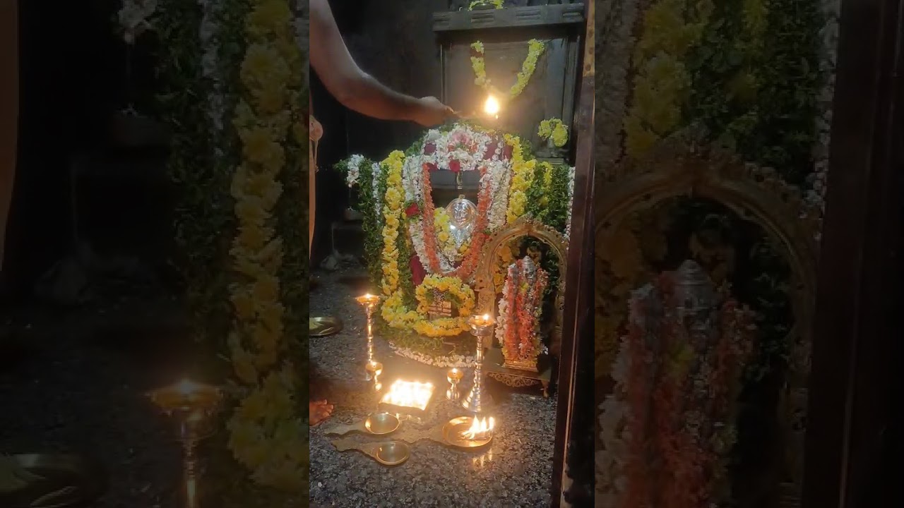 ಏಕಾಂಗಿ ಹಾಸನ್ ಡಿ ಅರಕಲಗೂಡು ತಾ ರಾಮನಾಥಪುರ ಗ್ರಾ ಗುರು ರಾಘವೇಂದ್ರ ಸ್ವಾಮಿಗಳ ಮಂಗಳಾರತಿ 24.2.2026