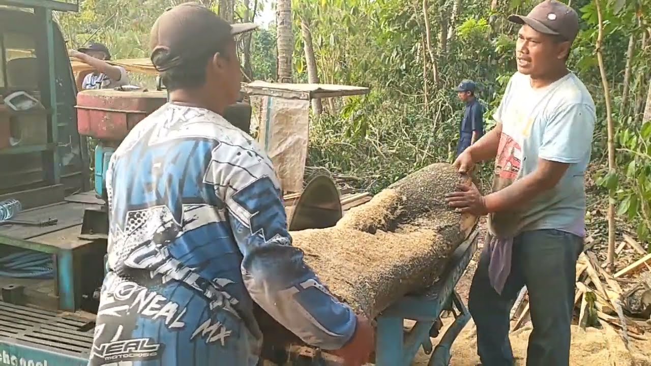 Penggergajian kayu jowar