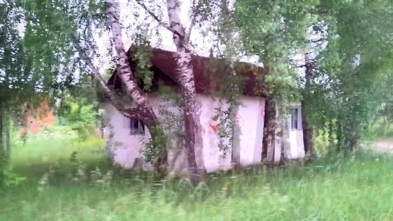 Давным давно 12 06 2018г  , в далекой далекой галактике 'Московскоя область'