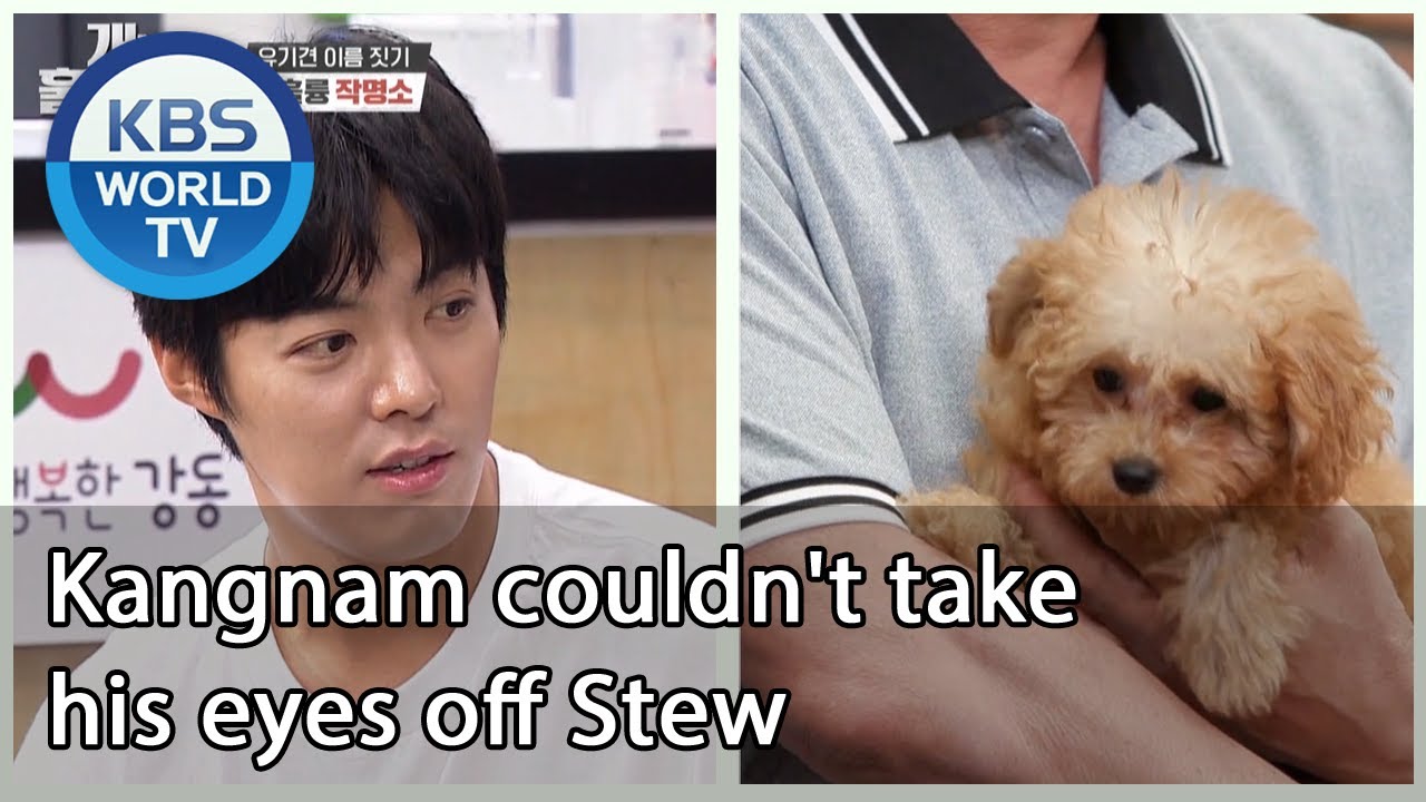 Kangnam couldn't take his eyes off Stew [Dogs are incredible/ENG/2020.08.12]