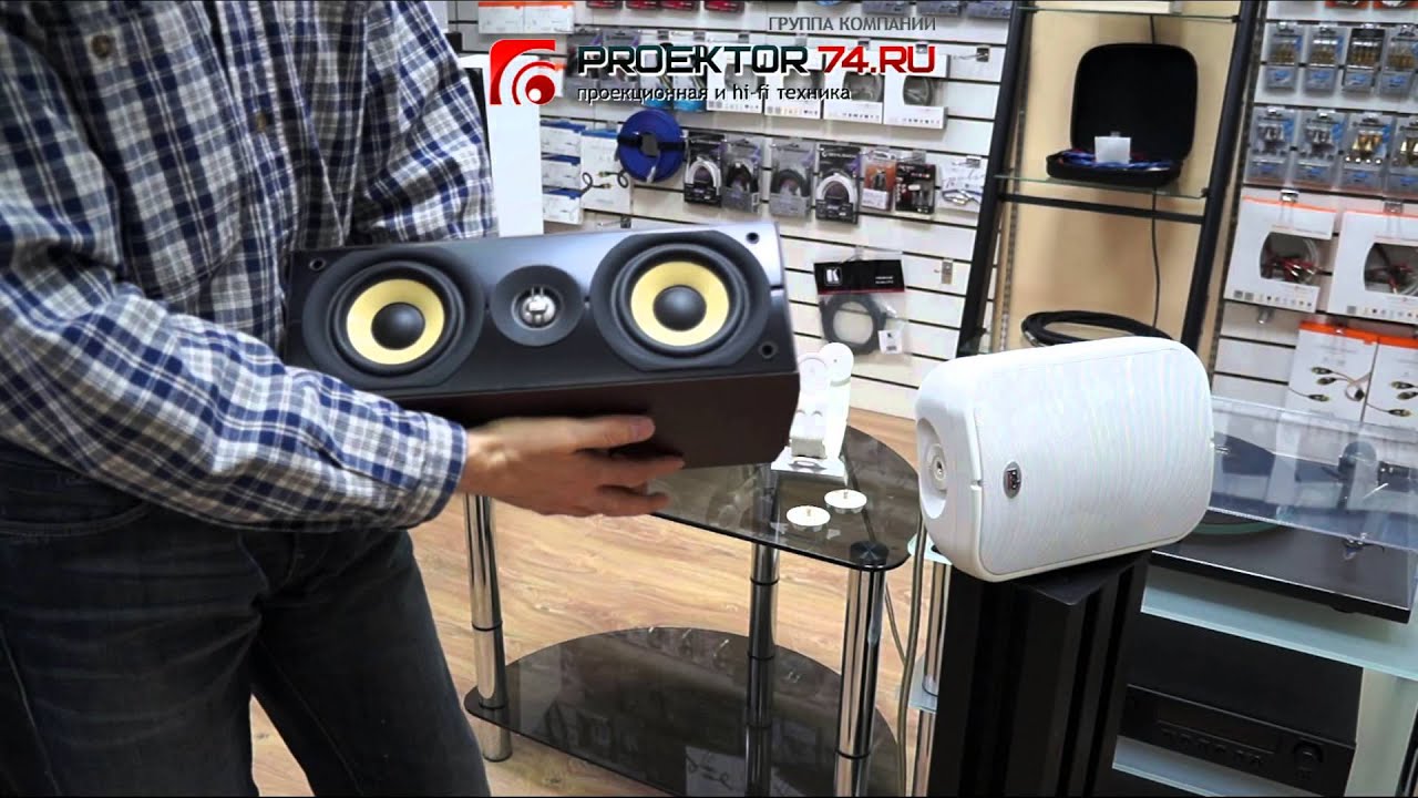 Обзор всепогодной акустики PSB CS500