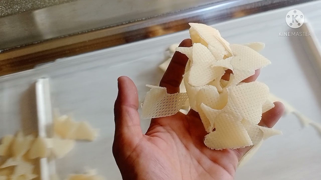 firstJapanese papad machine in India