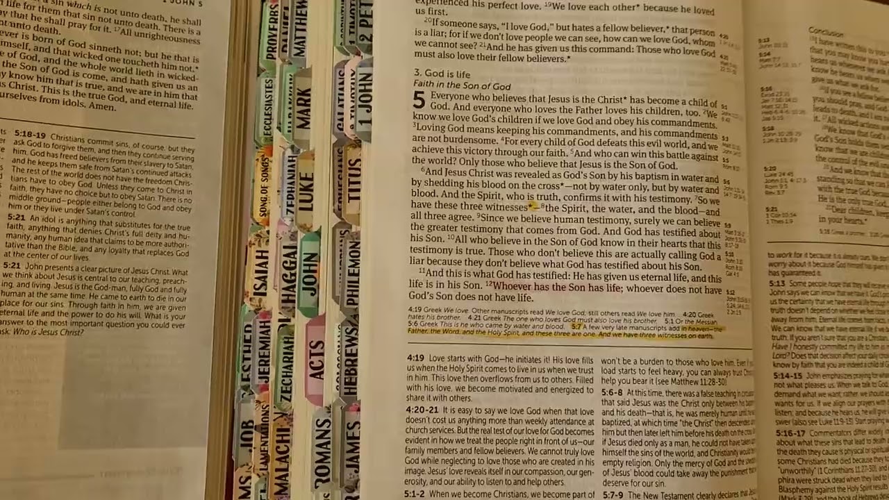 Comparing KJV and NLT 3rd Edition of The Life Application Study Bible in Large Print.