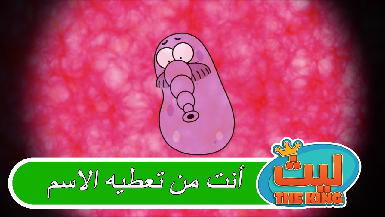 كوابيس فلافيلو 😴 | ليث ذا كينغ