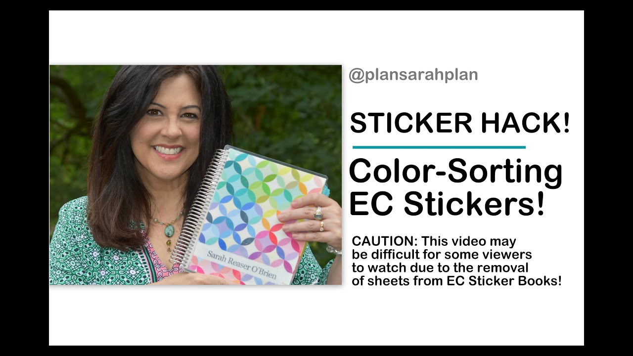 STICKER HACK! | Color-Sorting EC Stickers