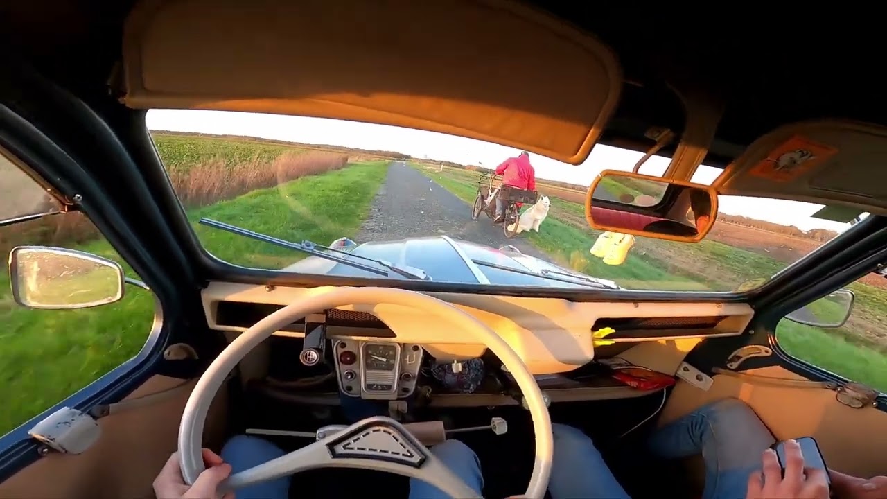 2CV AZAM 1965 POV Drive - Forest Paths