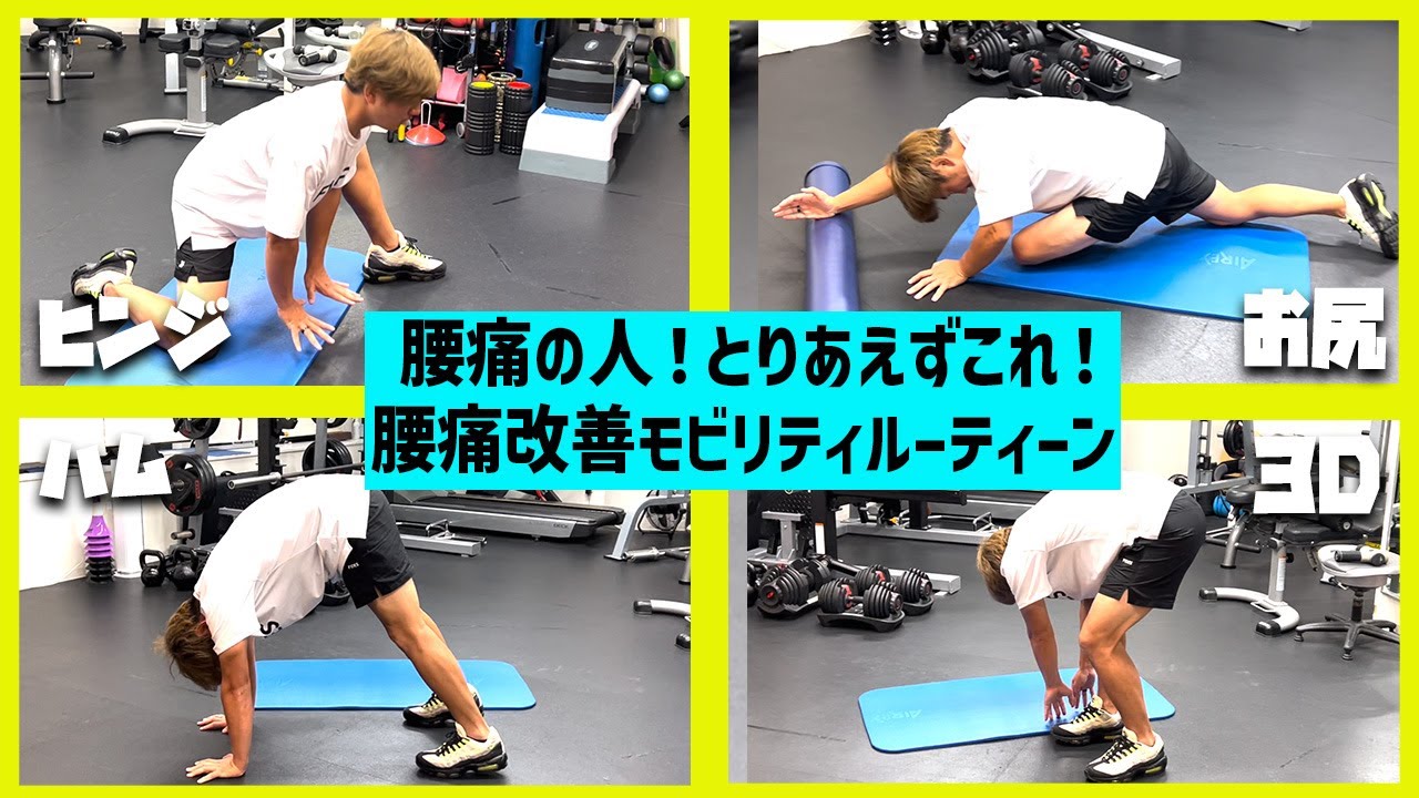 【モビリティ】人気理学療法士が教える！腰痛改善のためのストレッチルーティーン