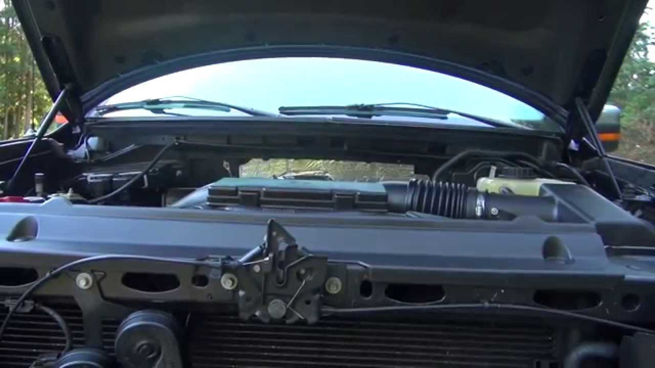 F-150 Ecoboost Cold Start Noise. Timing Chain Rattle